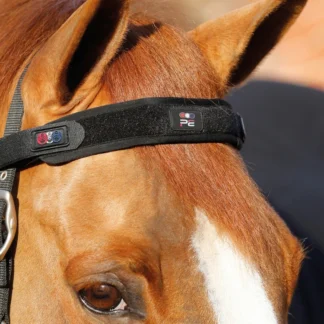Frontal Magnétique Premier Equine Magni-Teque