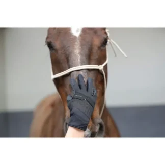 Gants D'Entrainement Racer "Evolution"