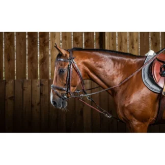 Gogue Dy'on En Nylon Working