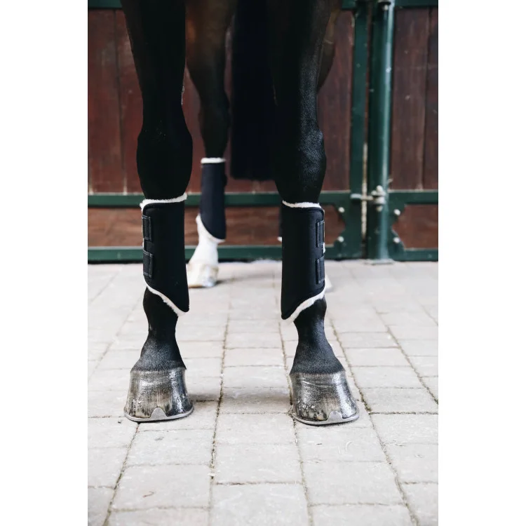 Guêtres Antérieures Kentucky Solimbra Mouton