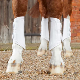 Guêtres Premier Equine Carbon Air-Tech Double Attaches