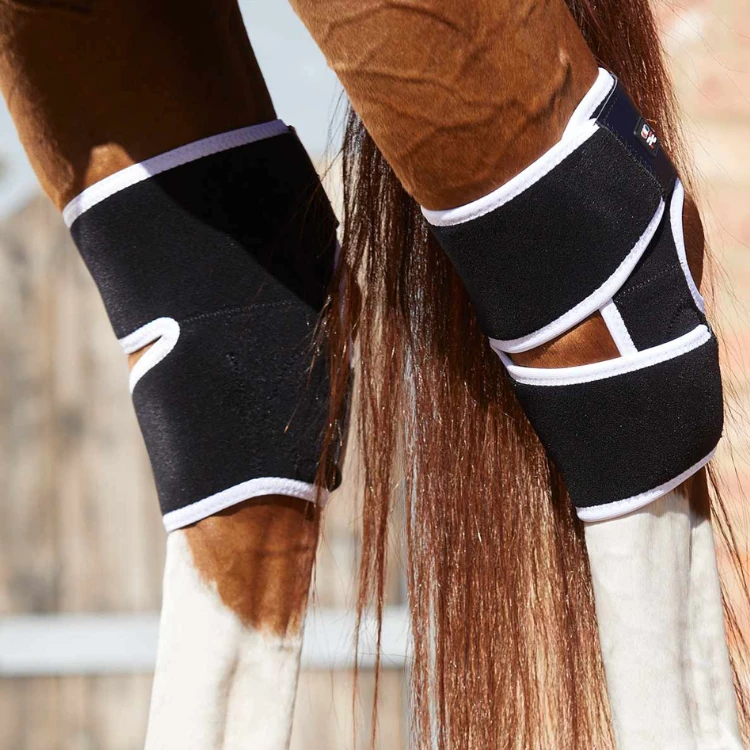 Guêtres Magnétiques Premier Equine Magni-Teque Jarrets
