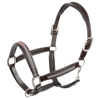 Licol Animo Usher 24W