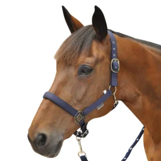 Licol Canter Nylon Doublé