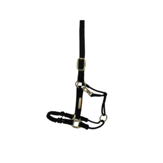 Licol Kentucky Control Nylon