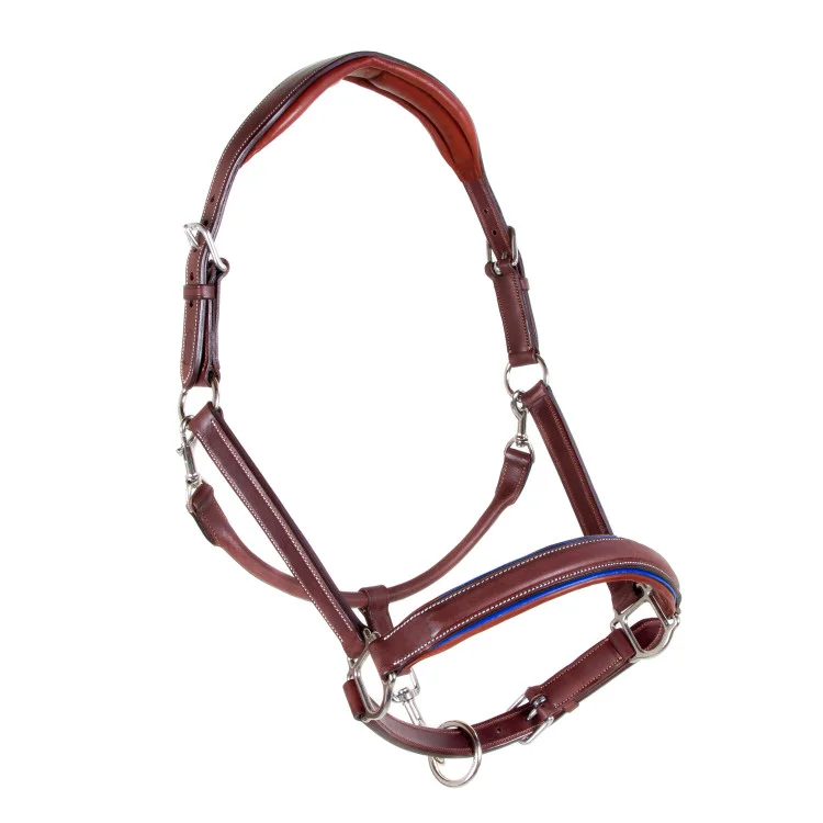 Licol CWD Mademoiselle