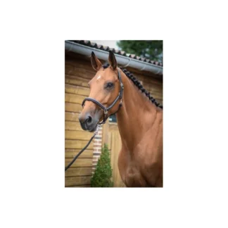 Licol Jump'in De Pansage One