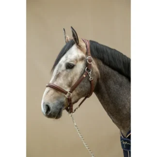 Licol Dy'on Cuir Extra Souple Working