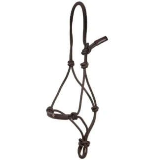 Licol Éducatif Dy'on Working