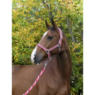 Licol Equithème "Ligne"