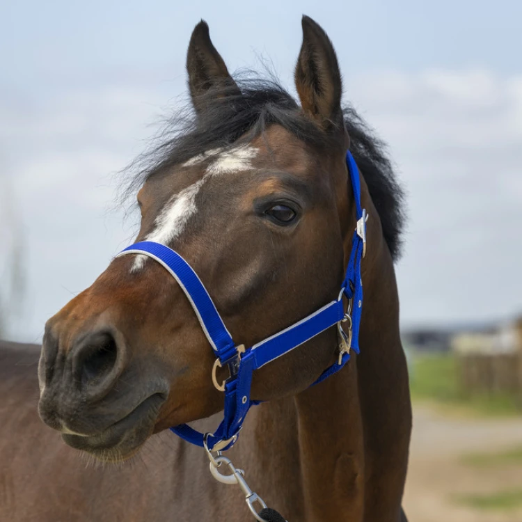 Licol Equithème Nylon Light