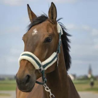 Licol Equithème Nylon Mouton