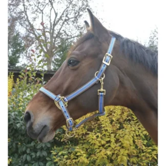 Licol Equithème "Polyfun"