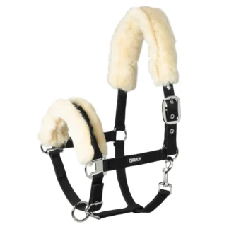 Licol Eskadron Pin Buckle Lambskin