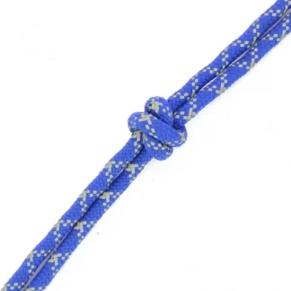 Licol Ethologique + Longe Norton "Fluo"