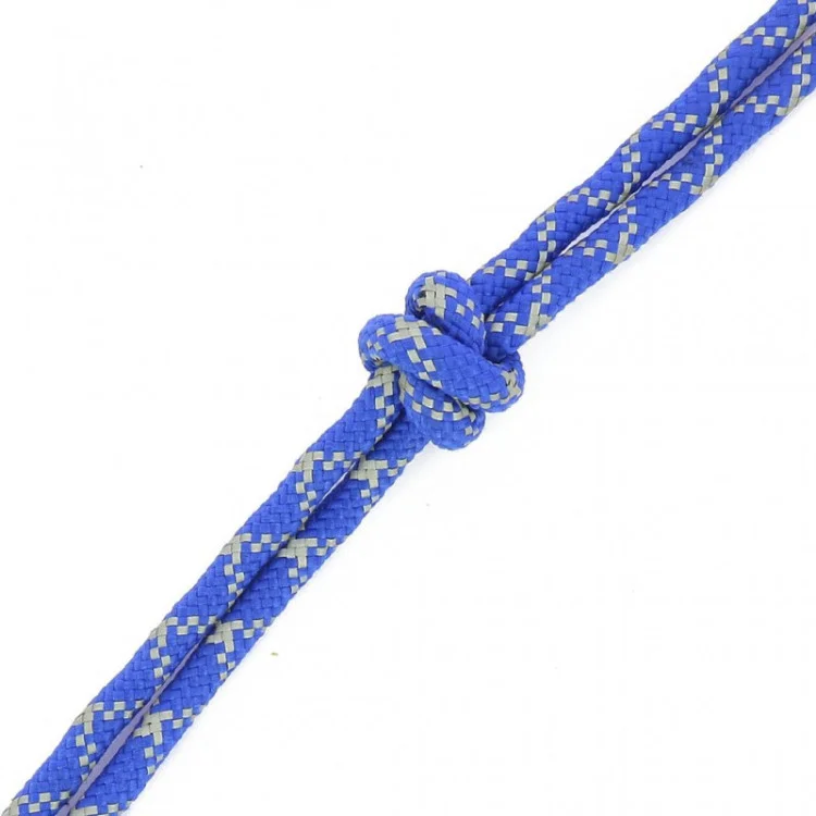 Licol Ethologique + Longe Norton "Fluo"