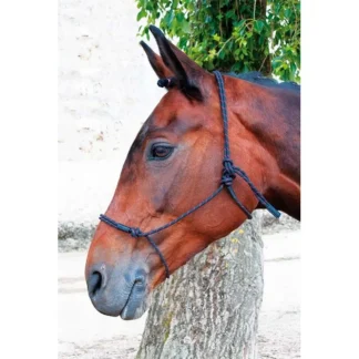 Licol Ethologique TdeT Pro