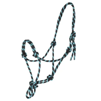 Licol Ethologique Waldhausen