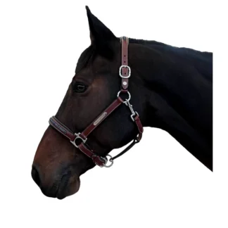 Licol Flags & Cup Aachen