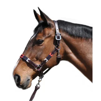 Licol Flags & Cup Chukka