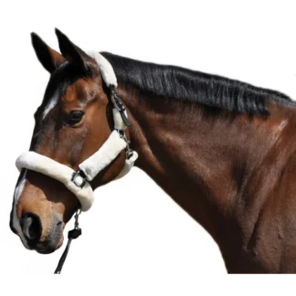 Licol Flags & Cup de transport