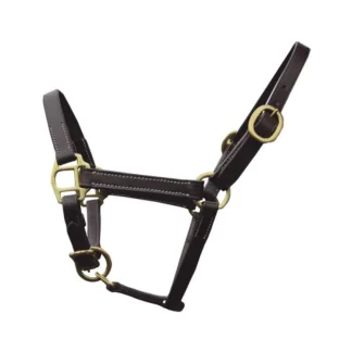 Licol Foal de présentation Chetak