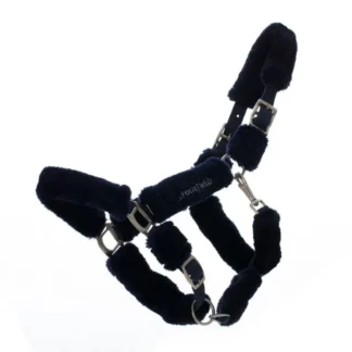 Licol Greenfield Teddy