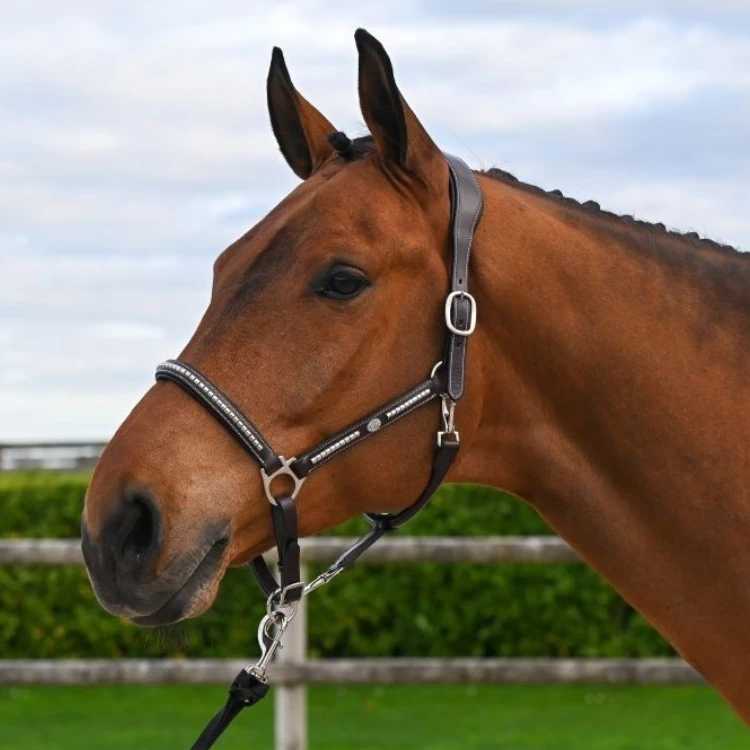 Licol Jump'In One Premium Clincher