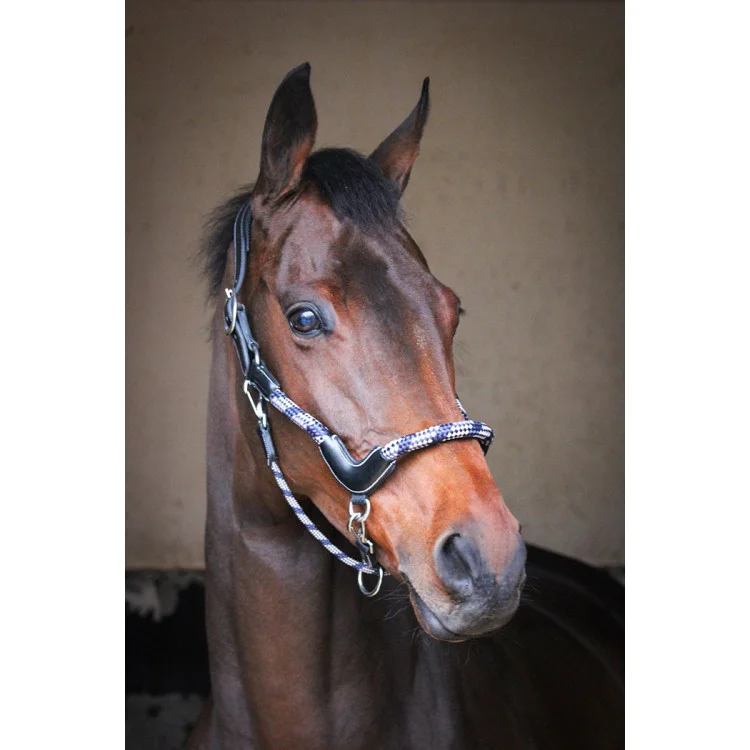 Licol Jump'In One Travel