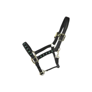 Licol Kentucky Pearls