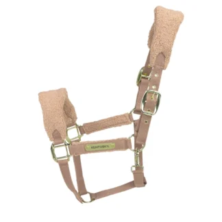 Licol Kentucky Teddy Fleece