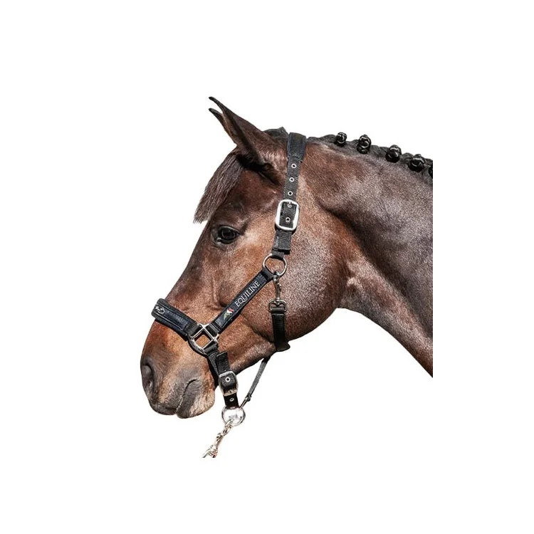 Licol + longe Equiline