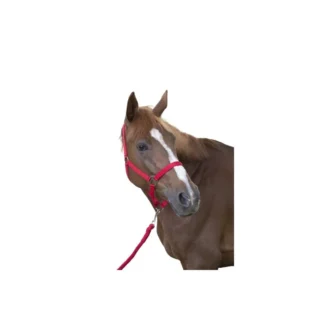 Licol + Longe Riding World "Club"