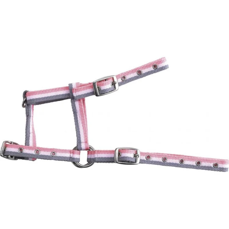 Licol Poulain Norton