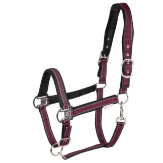 Licol Waldhausen Atheltic