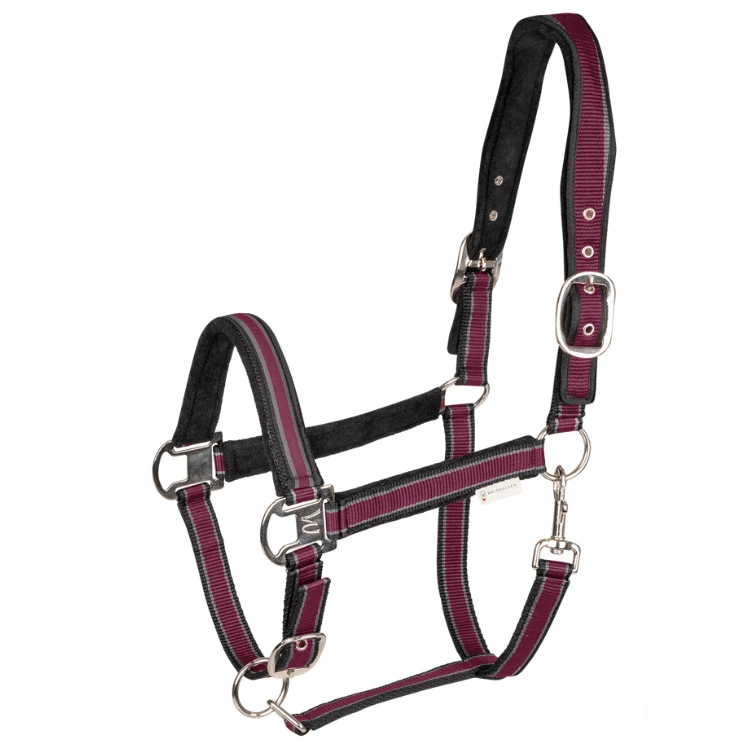 Licol Waldhausen Atheltic