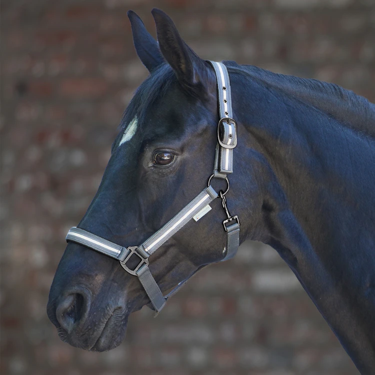 Licol Waldhausen Reflex Stripe