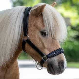 Licol Waldhausen Star En Cuir Diamond