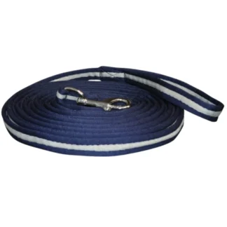 Longe à Tourner Canter