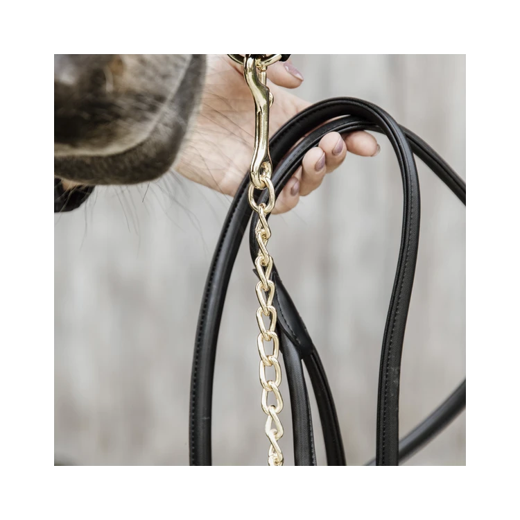 Longe de Présentation Kentucky en Cuir