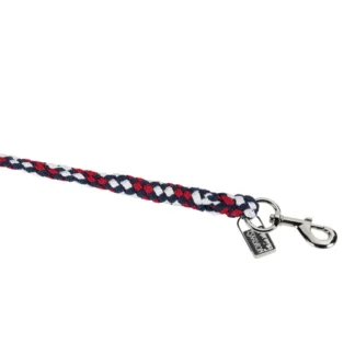 Longe Eskadron Regular Argent