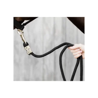 Longe Kentucky Anti-panique