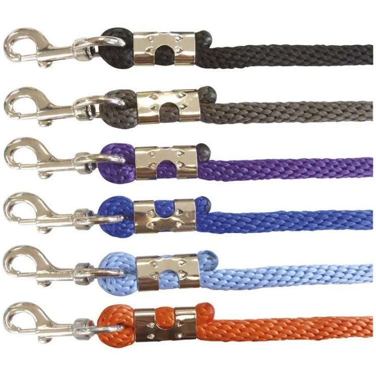 Longe Norton "Bright Sécurité"