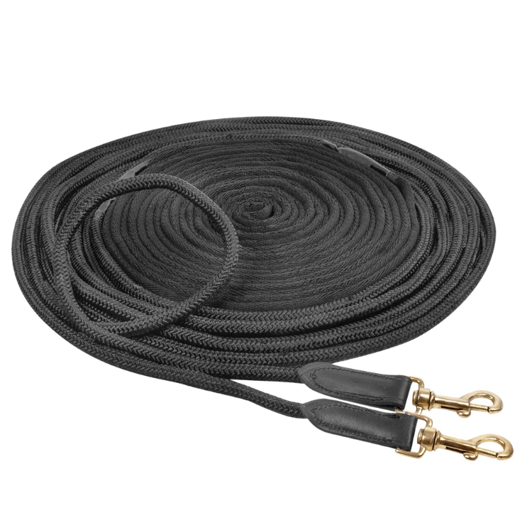 Longues rênes Waldhausen