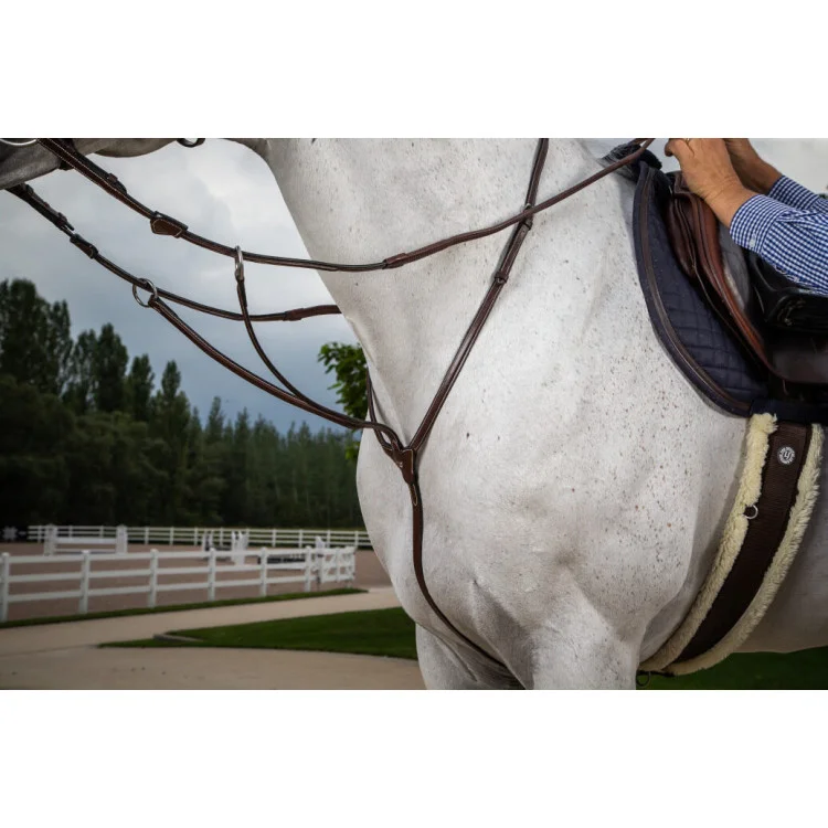 Martingale Dy'on à Anneaux Hunter