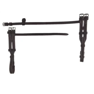 Montants d'Hackamore Silver Crown