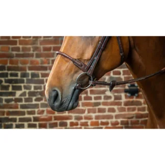 Muserolle Dy'on En Corde Recouverte De Cuir