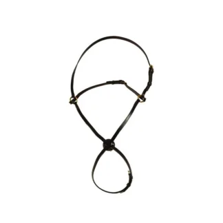 Muserolle croisée Chetak