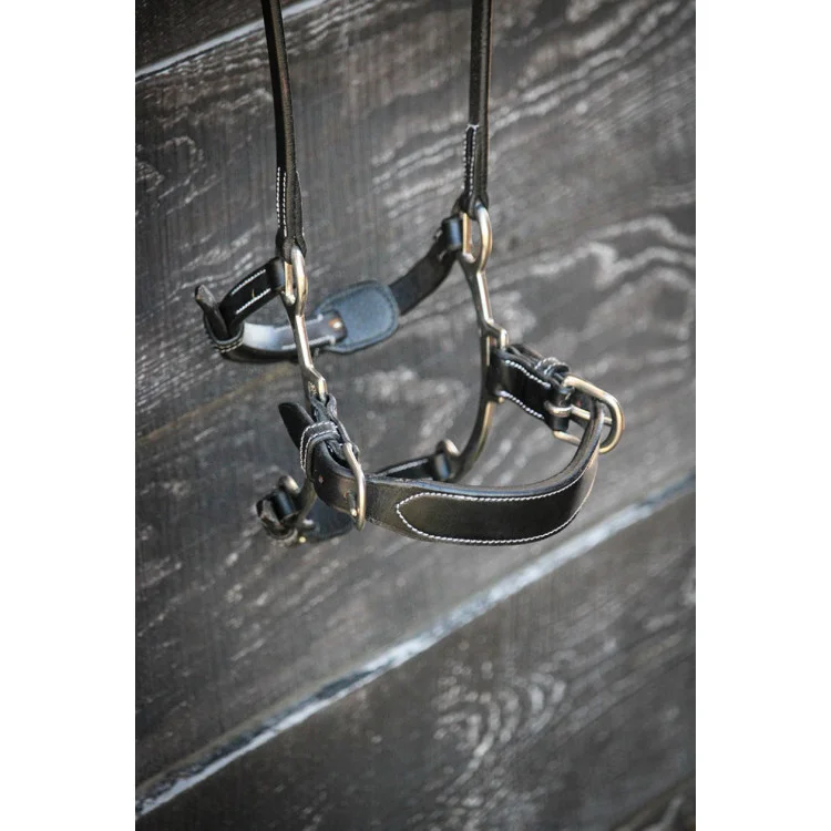 Muserolle Jump'In Week Hackamore