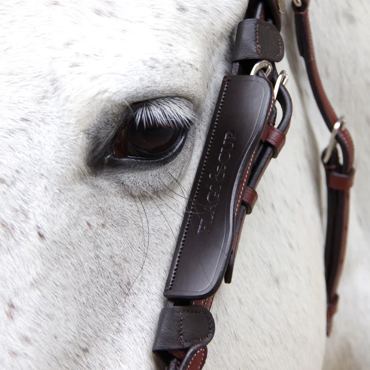 Œillères Flags & Cup